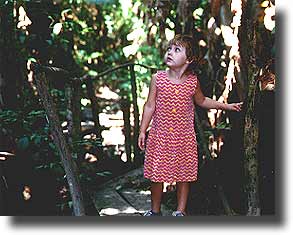 Alea explores the jungle