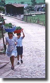 Going to market