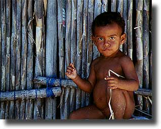 Life in the village
