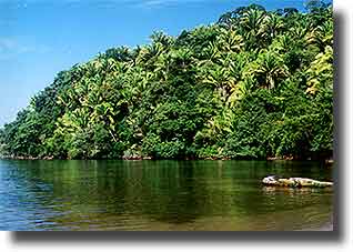 Manatee Bay