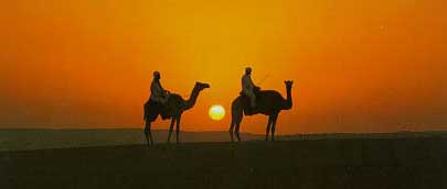 Bedouins on camels