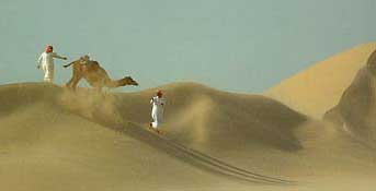 Ship of the desert...