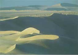 Qatari desert