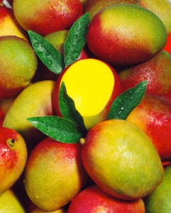 Alphonso mangoes