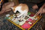 Dori playing Clue with us