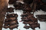 The roasted (de-winged) bats were an unexpected surprise