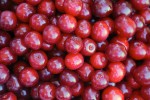 Cherries picked in Door County, WI