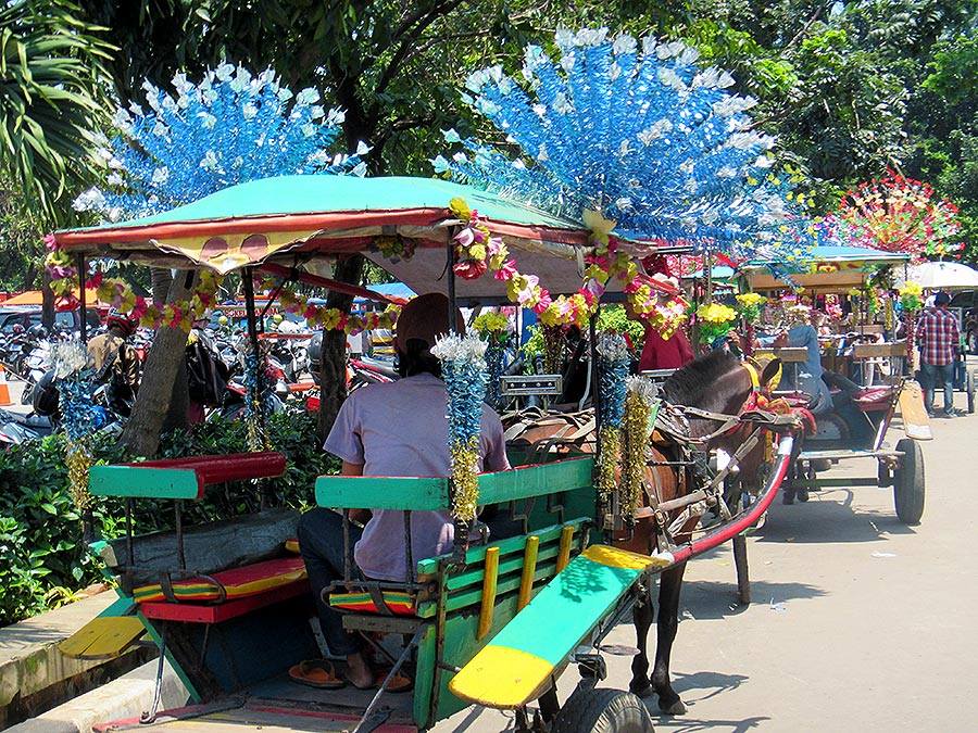 Vibrantly colored horse-drawn carriages wait to take people around the site.