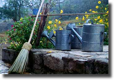Brooms, flowers, and watering cans
