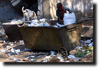 Woman picking garbage with a dog in Mumbai