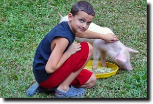 Breck and the Pig