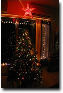 Here's the tree at night!