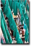 Drying shirts in the middle of green curtains for mosques