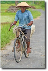 We saw tons of older people at work in the fields, including this man on his bike