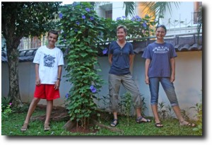 The morning glory on January 2, 2012