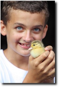 But the favorite part about the pottery place? The baby ducks!