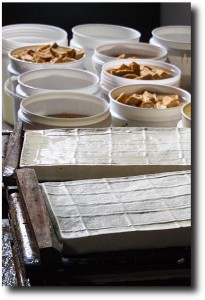 Tofu in its raw form and in fried chunks