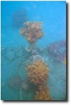Wreck structure