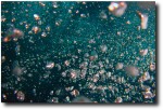 Into the bubbles!