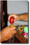 We had interesting colors for our eggs, since they all started off with the brown eggshell base
