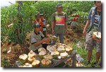 Waiting at the end of our hike was some well-deserved coconut refreshment!