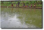 Our afternoon activities were supposed to be a combination of fishing and archery (yes, I also thought that we would learn to shoot the arrows and then head after some fish with them, but alas, that was not the case). As you can see, however, Mother Nature had other plans.