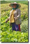 A jolly smile from a gardening woman!