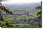 At the start of our last full day, I got to go on what is called the "Plantation Hike." This is the view looking down into the valley across which we were going to go.