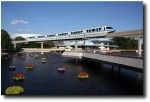 The monorail zooms through the park