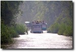 Once we started heading upriver to Camp Leakey, however, we ran into a virtual convoy of boats!