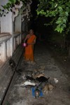 Monk feeding the cats in Pakse