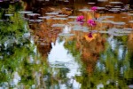 An Ankgor temple is reflected in its moat