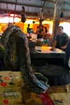 Right across the way, the python butcher was doing a solid business as well