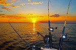 Fishing rods hunting for the big salmon as the sun sets