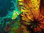 Love the contrasty colors and light under here