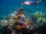Breck takes a snorkeling plunge.
