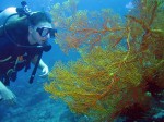 Alea checks out the coral growth.