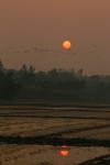 While the rice paddies in the area weren't green, they were still picturesque!