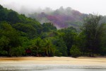 Steam rising from the jungle as the morning heat rises.