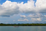We past stretches of green mangroves and blue sky.