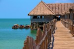 We finally pulled up at the Telunas resort - our home away from home for the next few days.