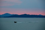 The evening boat comes in.