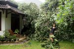 Alea strikes a pose amid devastation!