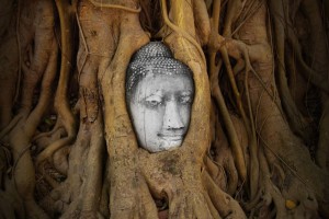 RUNNER-UP - Cultural: A Buddha head in Ayutthaya with the gnarled roots of a tree wrapped around it.